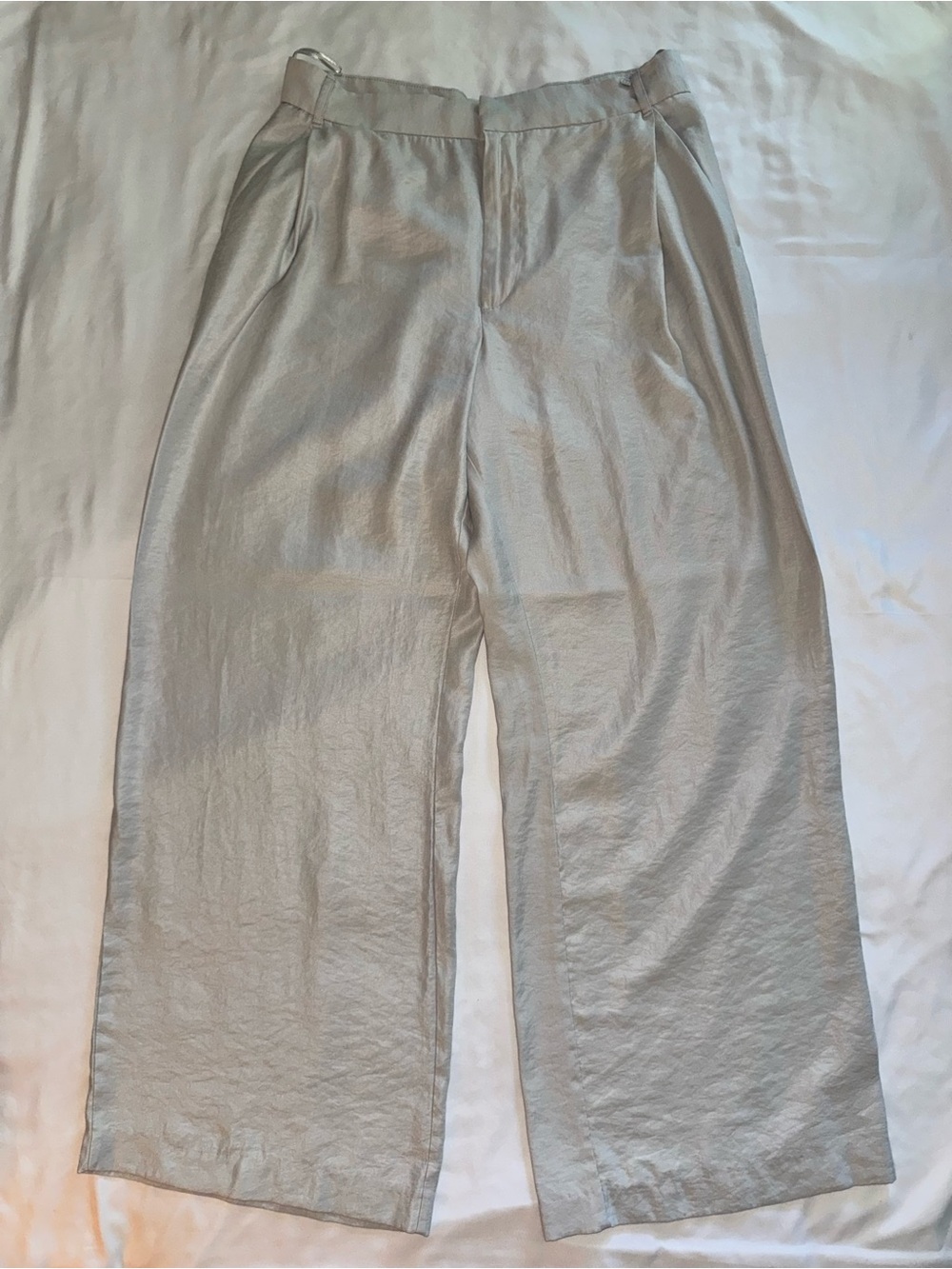 Zara Wide Leg Pants in Light Silver Gray